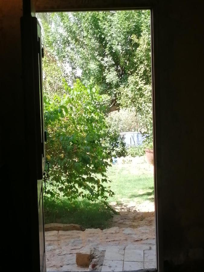 Studio In Byoum By Qaroun Lake In Fayoum Qaryat at Ta'mir as Siyahiyah Eksteriør billede